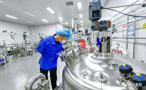 許昌市委書記市長周末帶隊赴漯 聚焦生物科技，推動產業協同發展