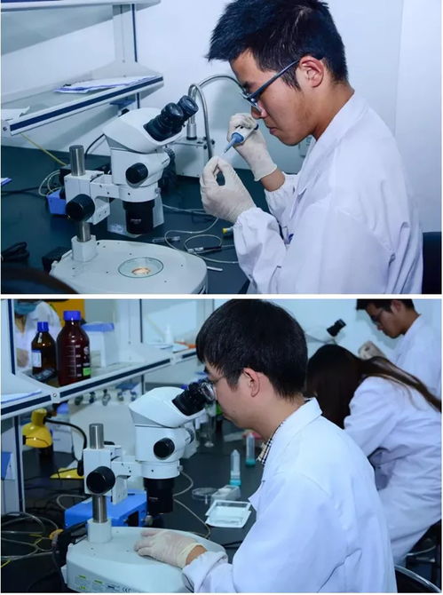 杭州環(huán)特生物科技股份有限公司動(dòng)態(tài) 前沿生物科技技術(shù)引領(lǐng)行業(yè)創(chuàng)新